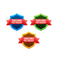 Secure Payment Credit Card Icon With Shield