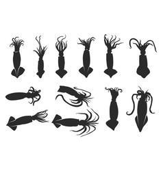 Squid Silhouette Svg Clipart