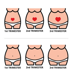 Pregnancy Stages Icons Pregnant Belly Design