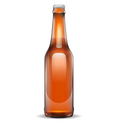 Beer Bottle Realistic Mockup Blank Brand Alcohol