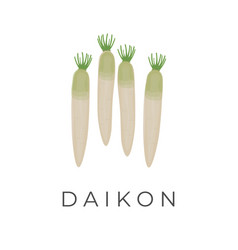 Daikon Korean White Radish