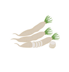 Fresh Korean White Radish Daikon