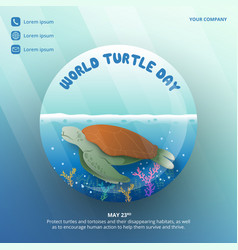 World Turtle Day Background With A Turtle In The