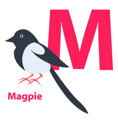 Pink Letter M Ordinary Or European Magpie On Abc