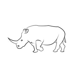 Rhinoceros Rhino One Horned Mammal Horn Big