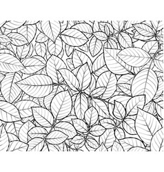 Seamless Pattern Rose Leaves Black And White