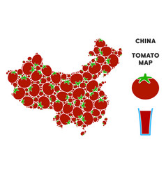 China Map Composition Of Tomato