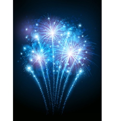 Holiday fireworks Royalty Free Vector Image - VectorStock