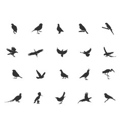 Bird Silhouette Flying Svg