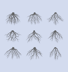 Set Of Grey Tree Roots Outline