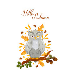 Autumn Postcard With Owl On Branch Acorns And