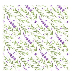 Hand Drawn Lavender Pattern Herb Drawing