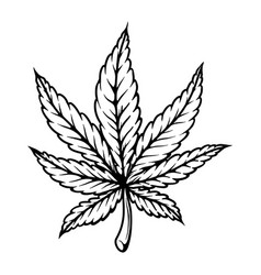 Cannabis Leaf Design Element For Poster T Shirt