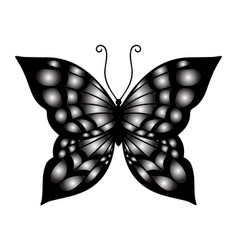 Black Butterfly Iconic Simple Design Art