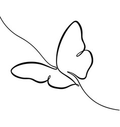 Butterfly Line Art