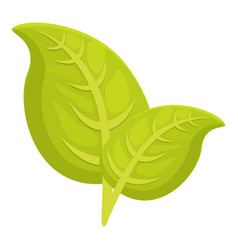 Oregano Icon Cartoon Leaf Herb