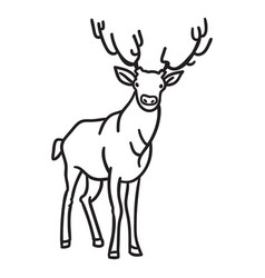 Stroke Deer