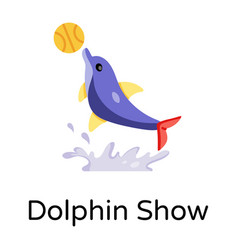 Dolphin Show