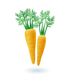 3d Cartoon Style Carrots Icon On White Background