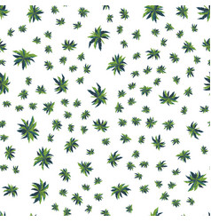 Seamless Pattern From Palm Trees Top View