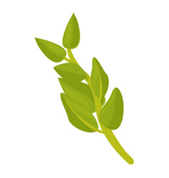 Spice Oregano Icon Cartoon Herb Leaf