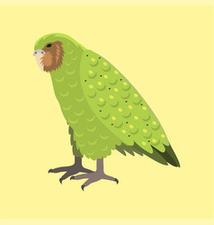 Cartoon Tropical Kakapo Parrot Wild Animal Bird