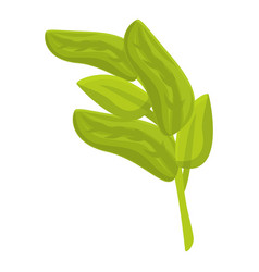 Rosemary Plant Icon Cartoon Oregano Leaf