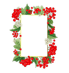 Viburnum Rowan Rectangle Red Berry Frame