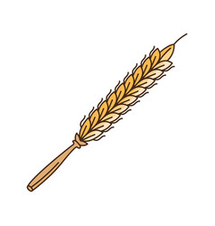 Golden Barley Spike