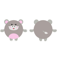 Round Body Hippo In Front And Back Position