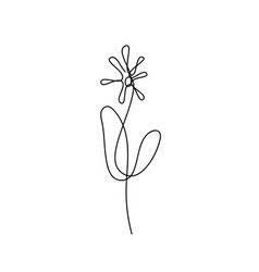 Continuous Line Drawing Flower Sketch Plant One