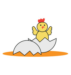 Yellow Chick On A White Background