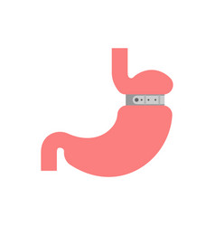 Stomach Banding Isolated Adjustable Gastric Band