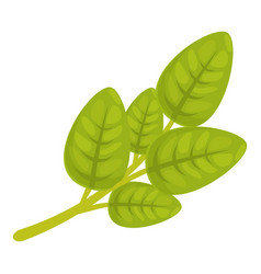 Organic Oregano Icon Cartoon Leaf Herb