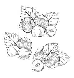 Hazelnut Set Compositions With Kernels Shells