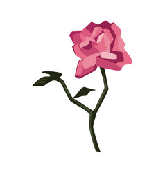 Flat Pink Rose Design