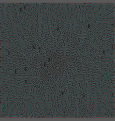 Turing Morphogenesis Reaction Diffusion Pattern