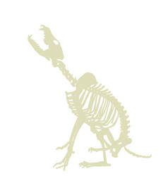 Wolf Skeleton Silhouette Isolated