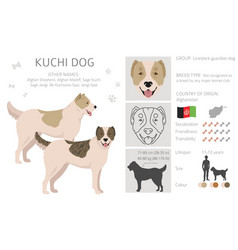 Kuchi Dog Clipart Different Coat Colors Set