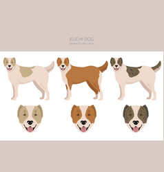 Kuchi Dog Clipart Different Coat Colors Set