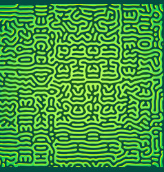 Turing Morphogenesis Reaction Diffusion Pattern