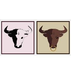 Bull Head Mascot Symbol Texas Mexico Tradition