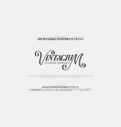 Custom Font Bundle Script Serif Alphabet