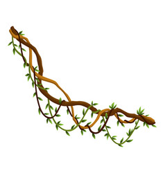 Twisted Wild Lianas Branches Banner Jungle Vine