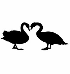 Set Couple Two Duck Black Silhouette Animal