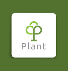 Plant P Letter Tree Green Environment Garden Seed