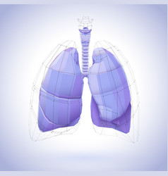 3d Of A Human Lung Polygon Covered With Purple