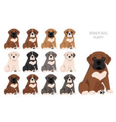 Boxer Dog Puppies Clipart All Coat Colors Set