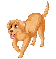 Golden Retriever Dog Cartoon On White Background