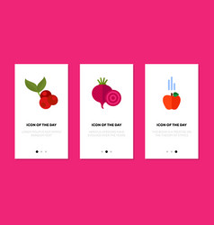 Berry Fruit Vegetable Flat Icon Set